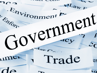 Government Projects
